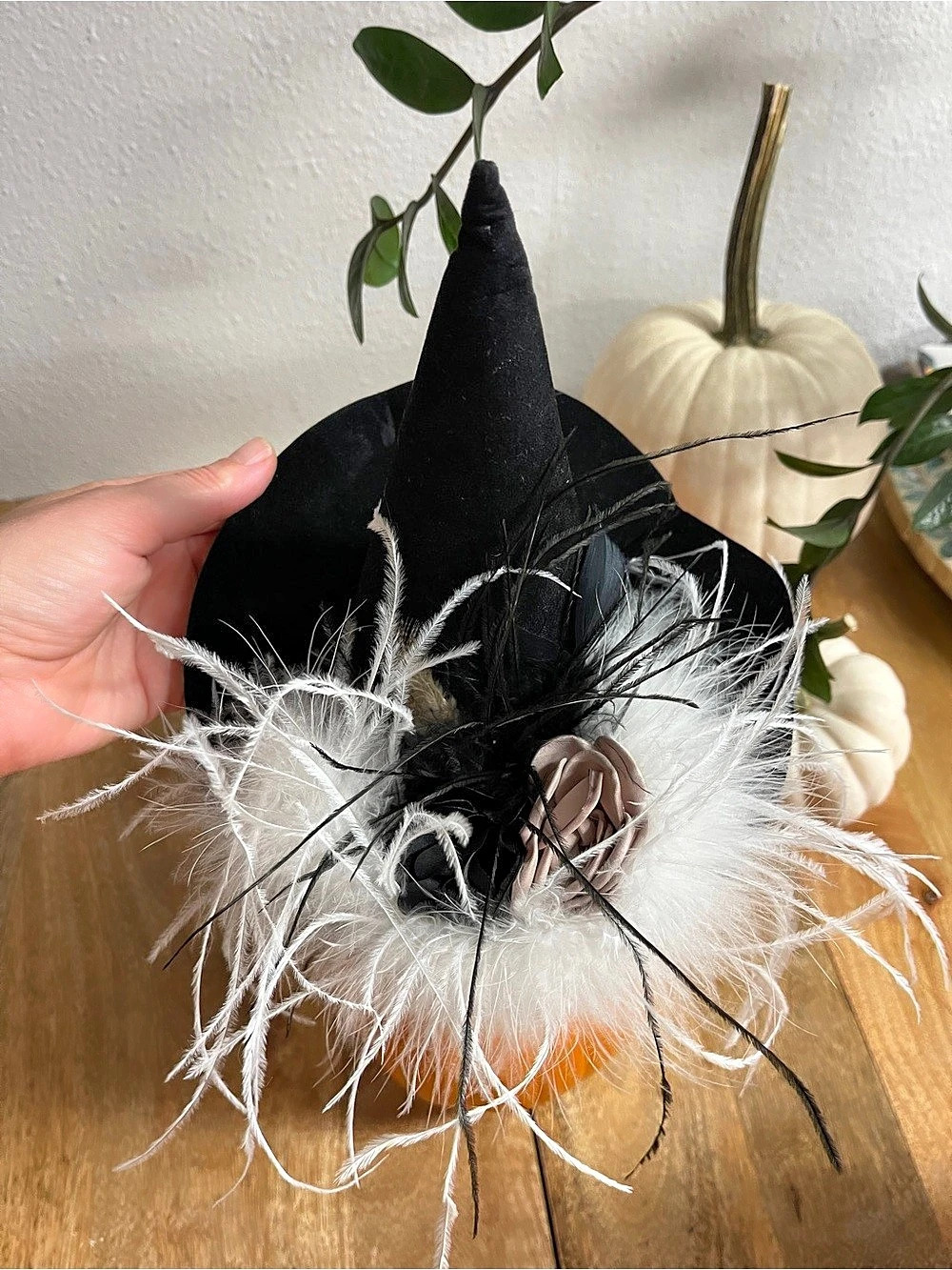 Black & White Feather Witch Hat